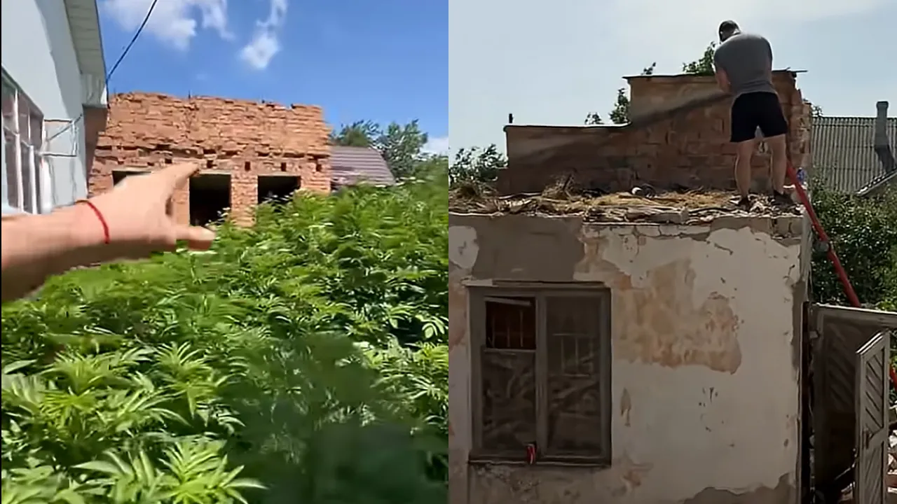 Купили хату за $55 тисяч, а потім не повірили своїм очам: що знайшли всередині 