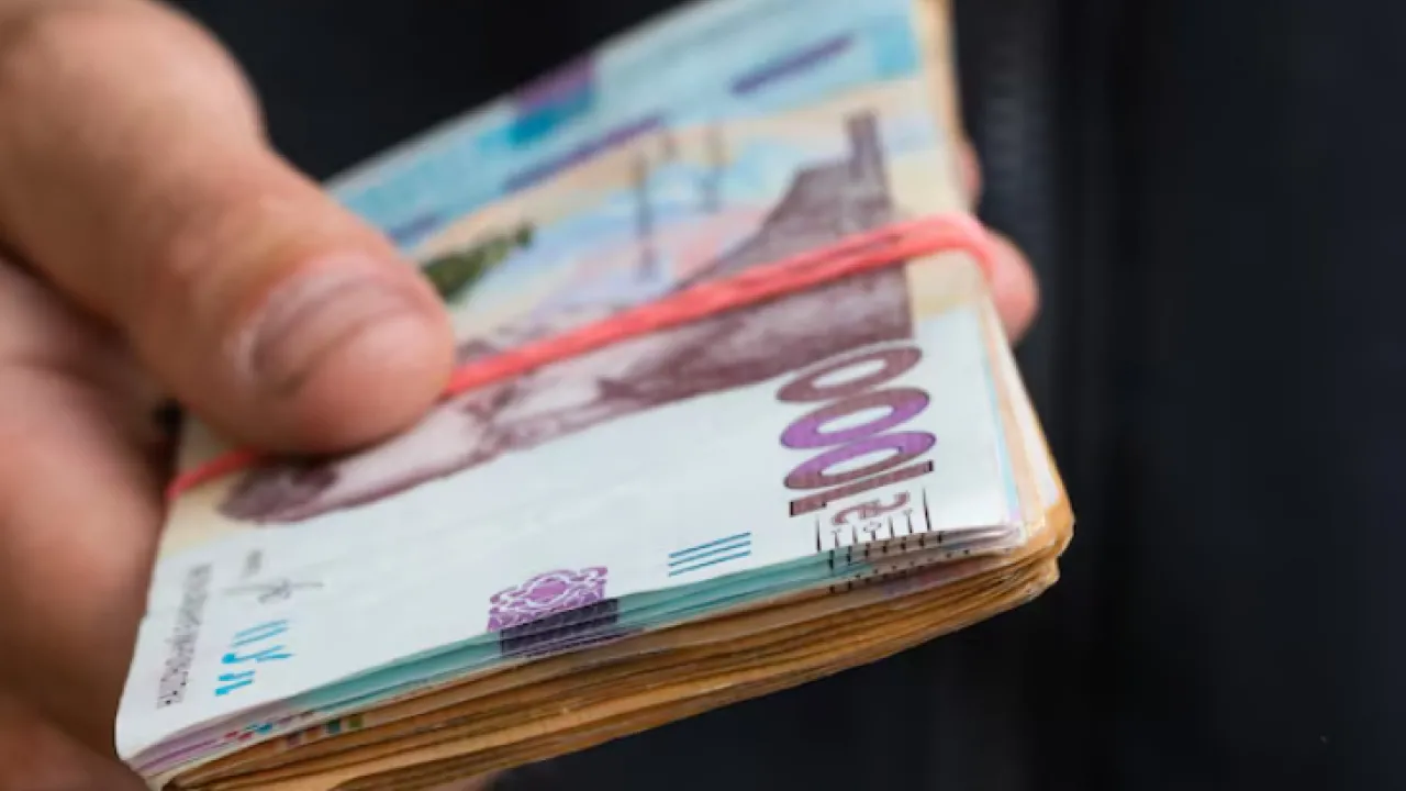 Базова соціальна допомога у 2026 році: як оформити виплату через «Дію»  