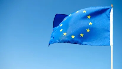 Чи реально Україні стати членом ЄС до 2030 року: посол Матернова пояснила умови - фото