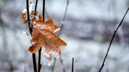 З +27° одразу в +7°: синоптики попередили про кардинальну зміну погоди перед вихідними  - фото