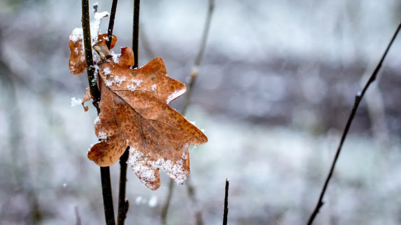 З +27° одразу в +7°: синоптики попередили про кардинальну зміну погоди перед вихідними  